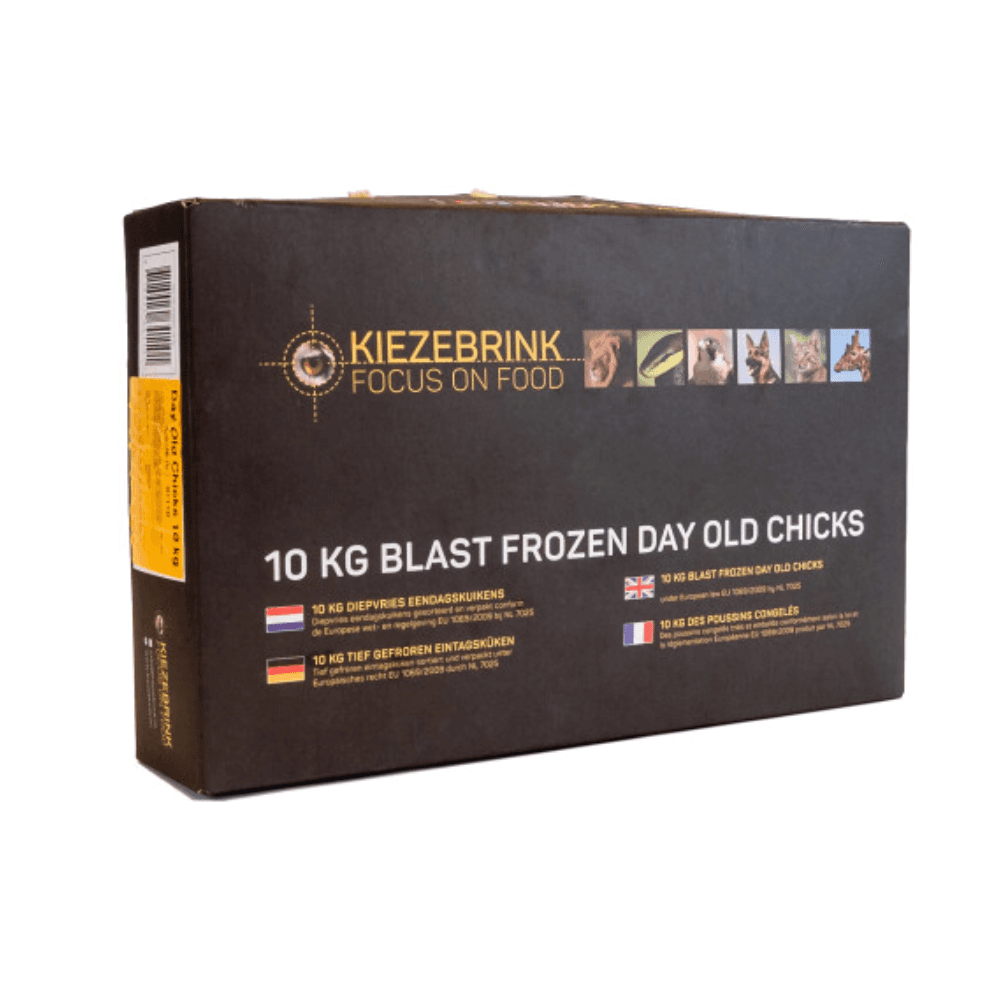 Eintagsküken (Schwarzer Karton)