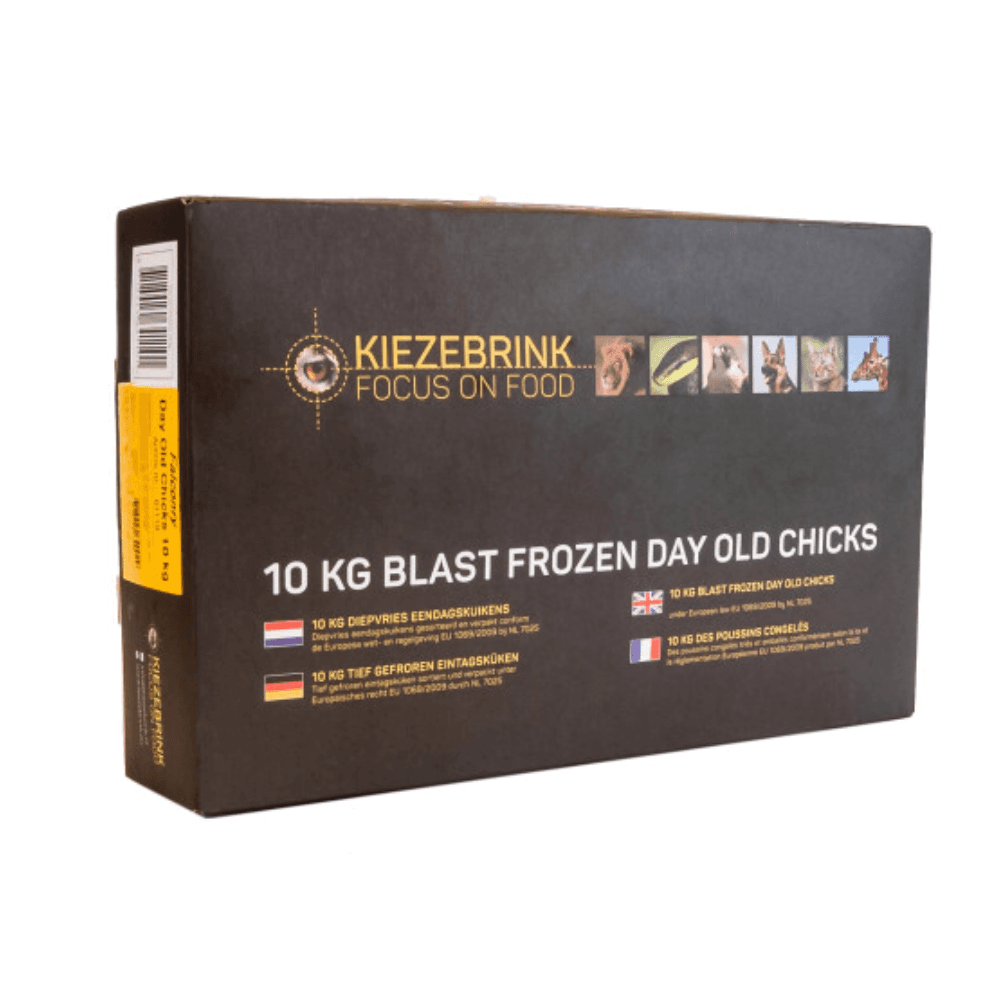 Kiezebrink Eintagsküken (Falconry)