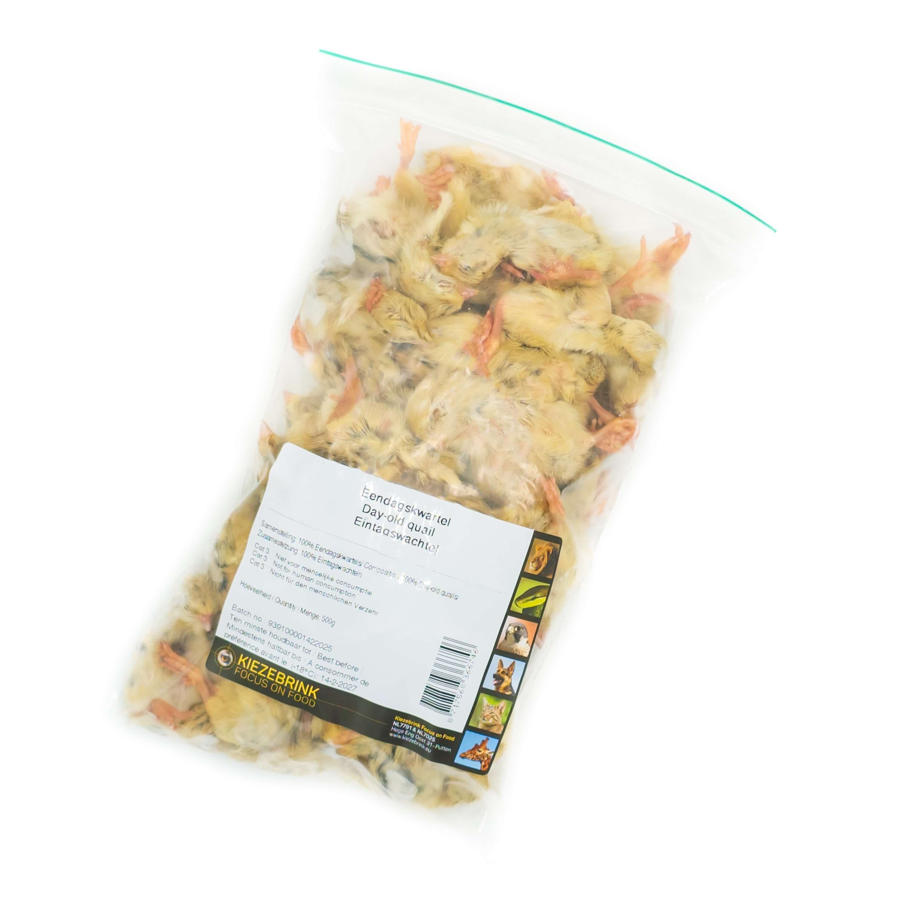 Eintagswachtel (7-9 g)