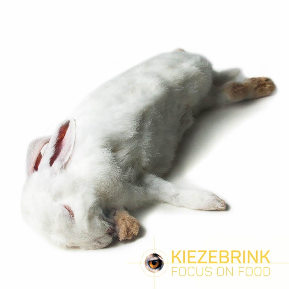 Rabbit XL (>5 kg) - ca. 300 kg