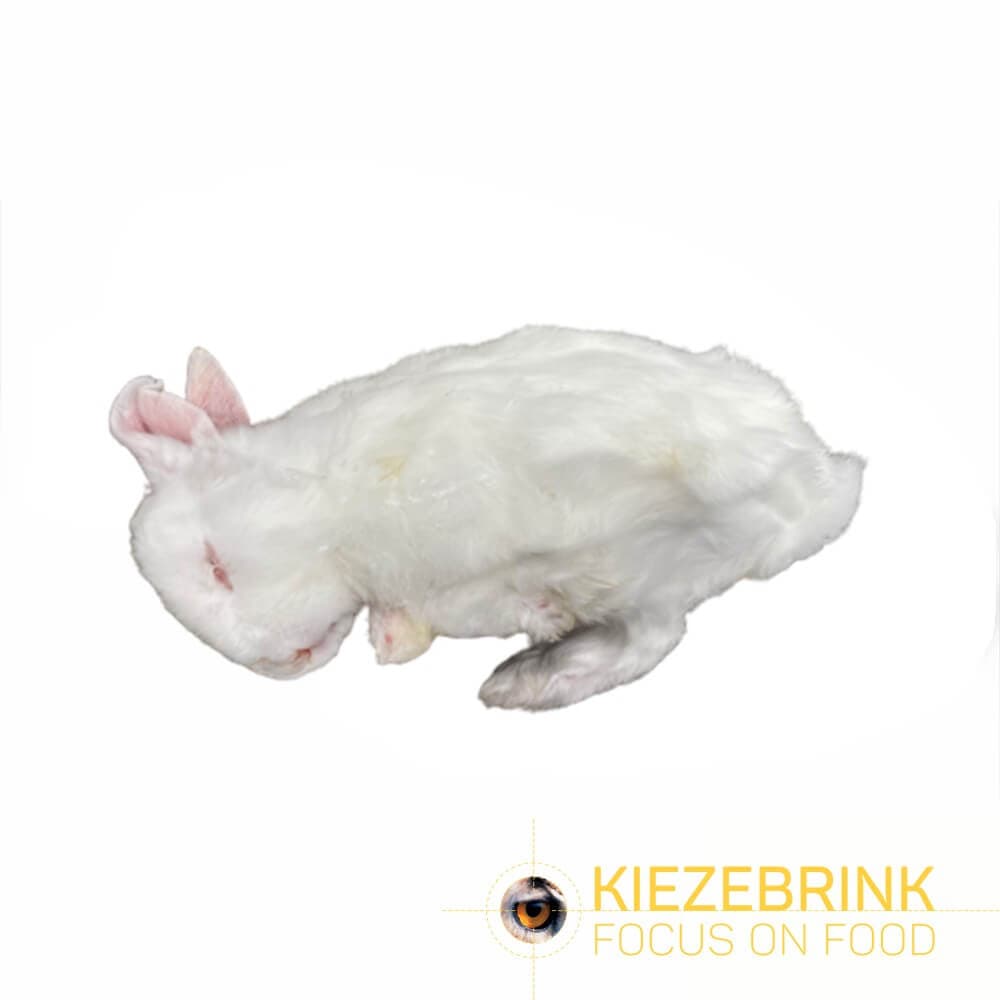 Konijn XS+ (300-500 g) - 24 st./doos