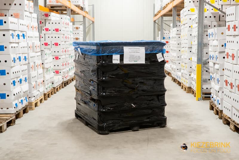 Rindfleisch Mit Knochen - Kat. 2 - 500 kg (4-8 kg St.)