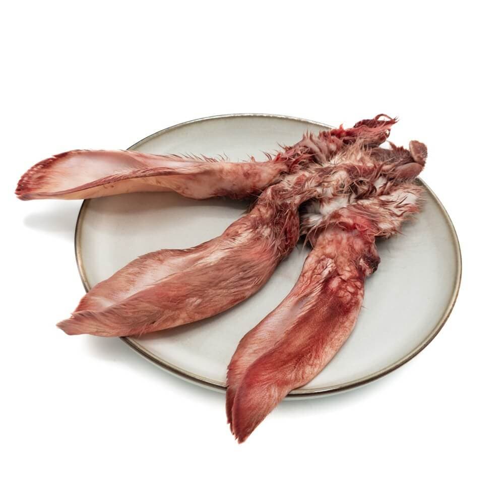 KB Extra - Rabbit Ears