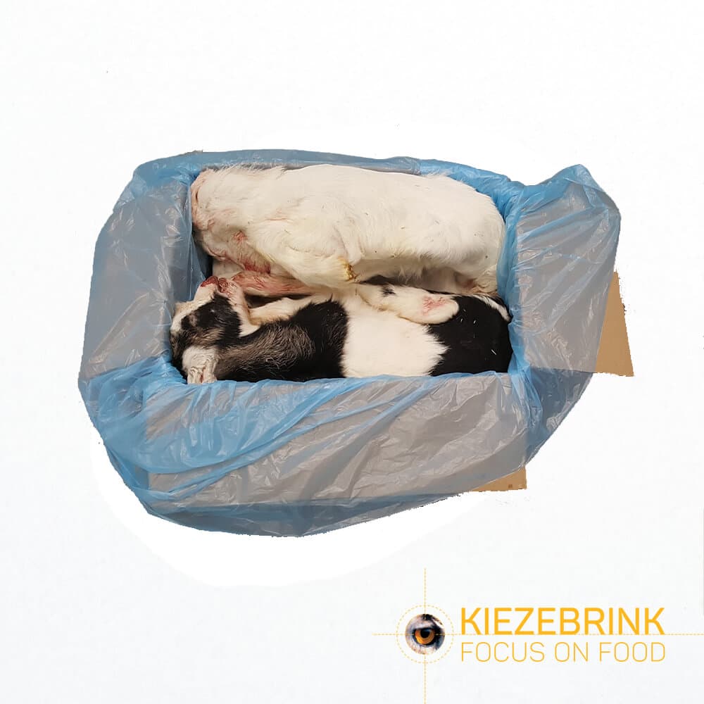 Kid Goat - Cat. 2 - ca. 10 kg doos