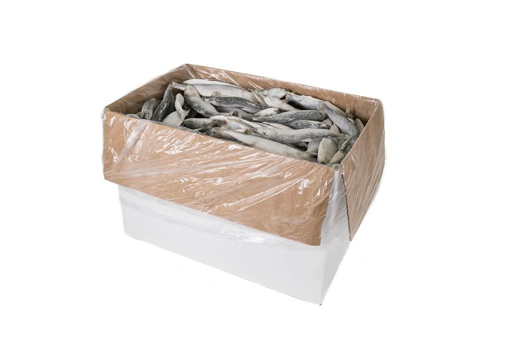 Hering, lose eingefroren - 10 kg Karton