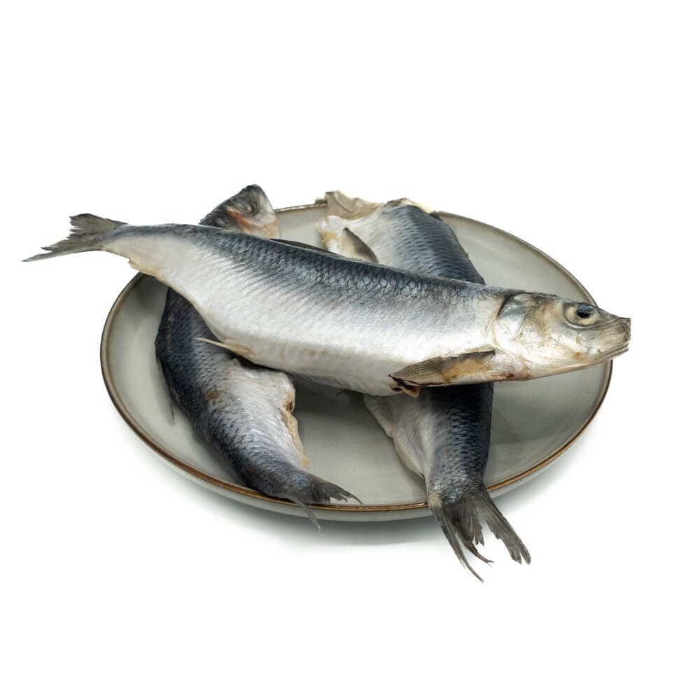 KB BARF - Hering