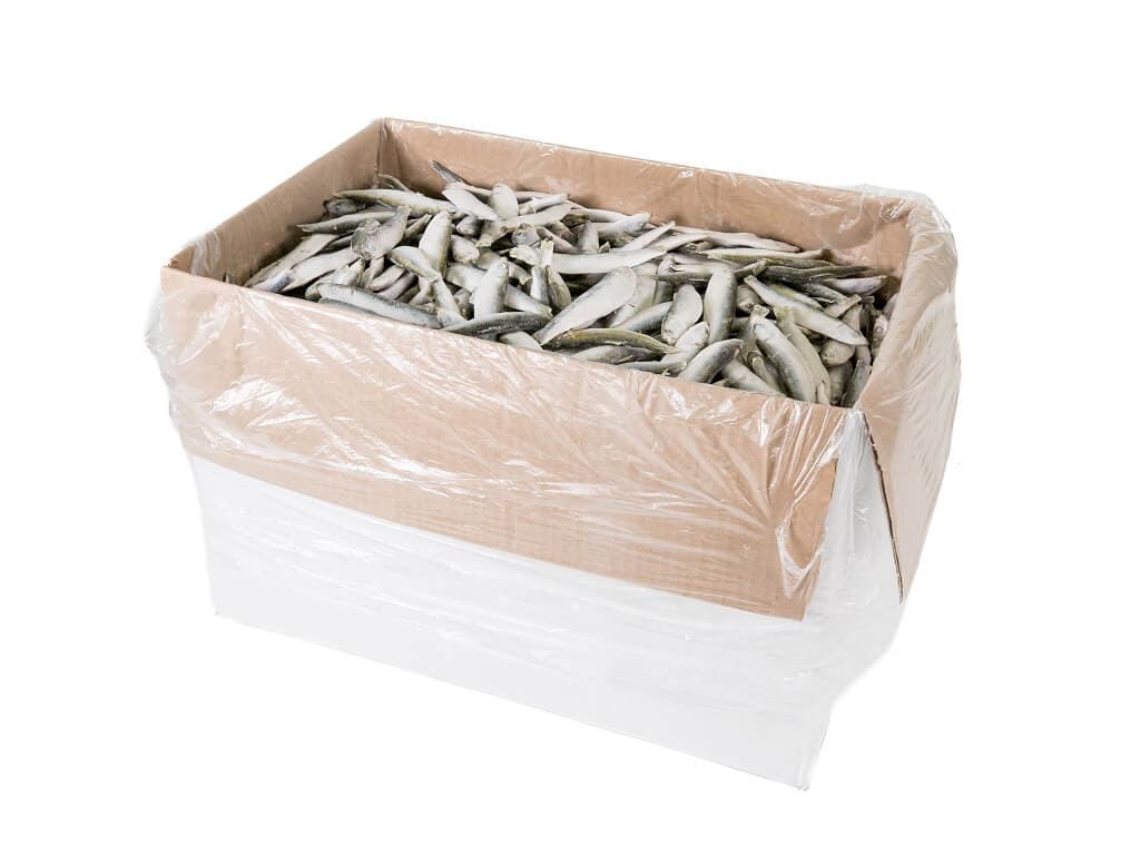 Sprot IQF - 10 kg doos