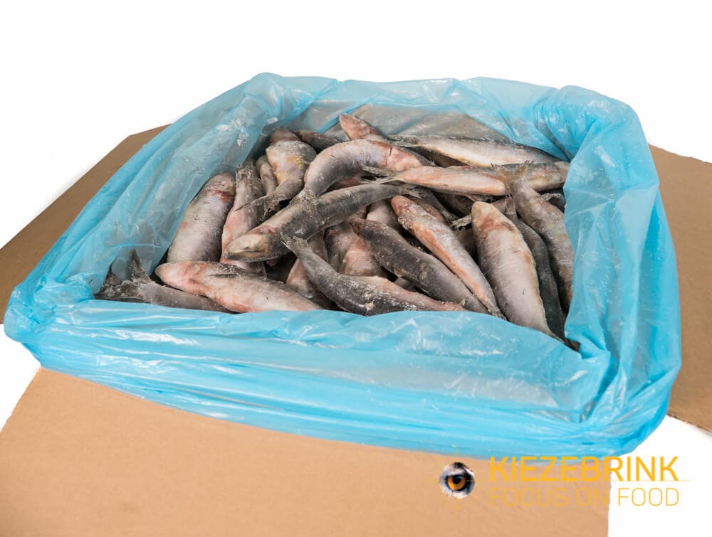 Sardinen, lose eingefroren - 10 kg Karton