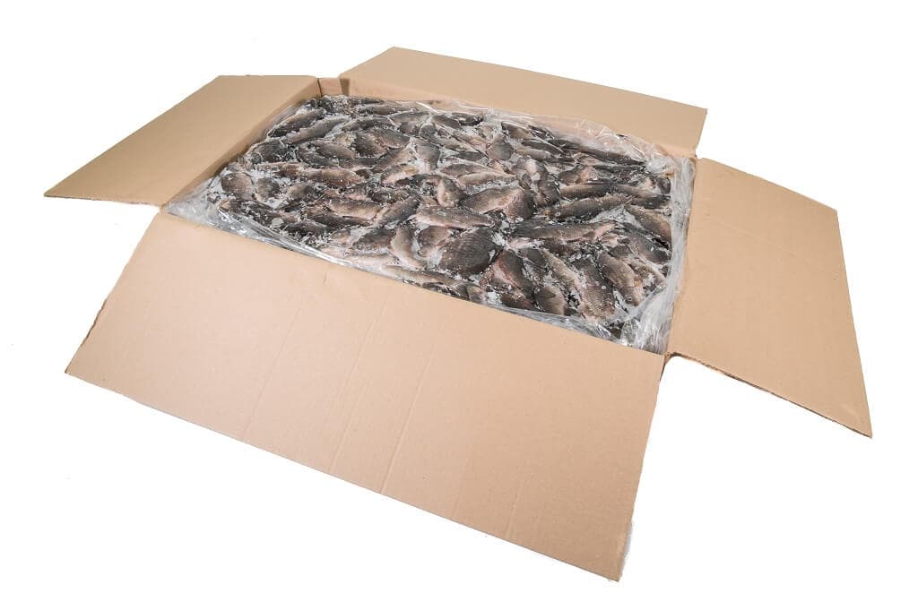 Karpfen Klein - 10 kg Karton