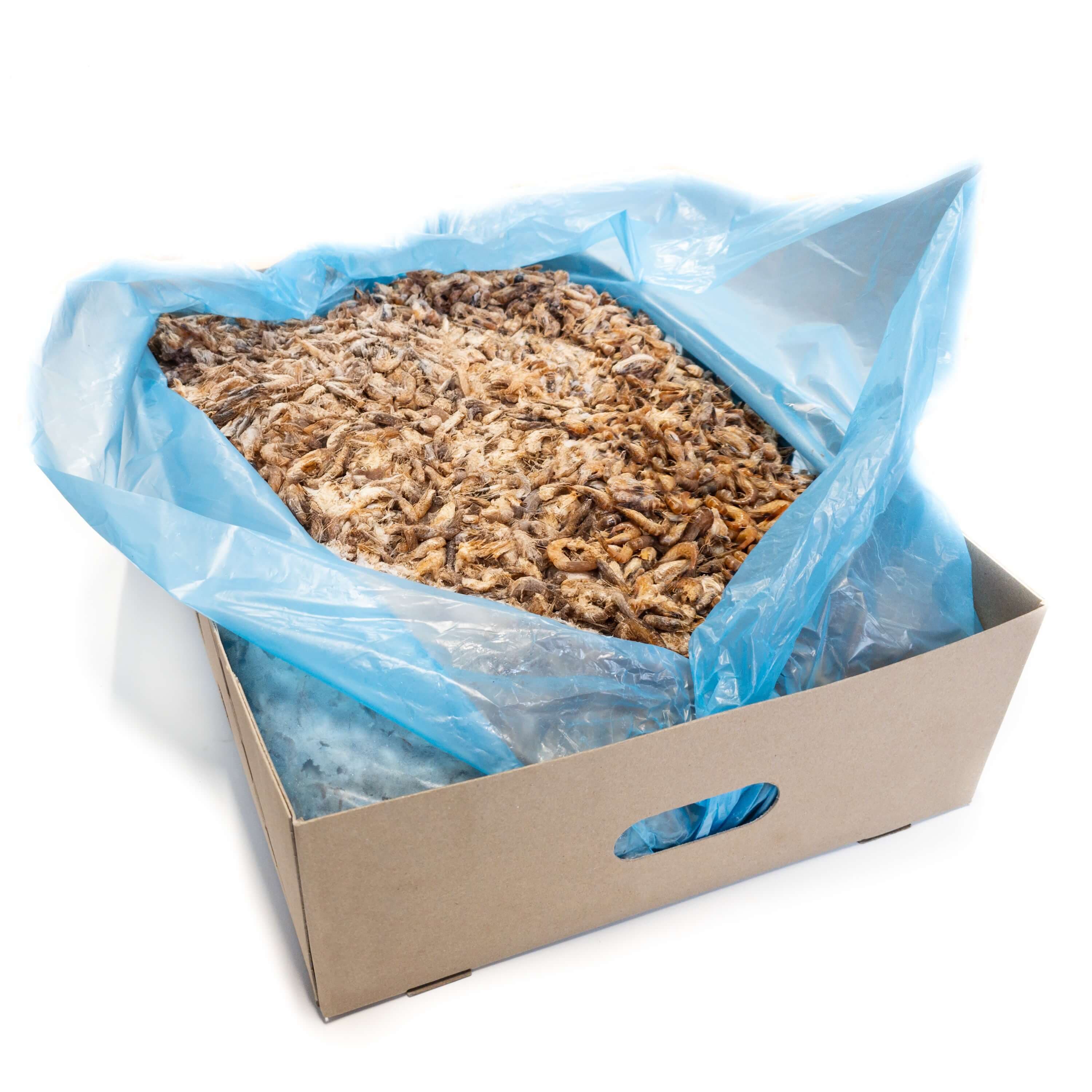 Garnele Klein - 15 kg Karton