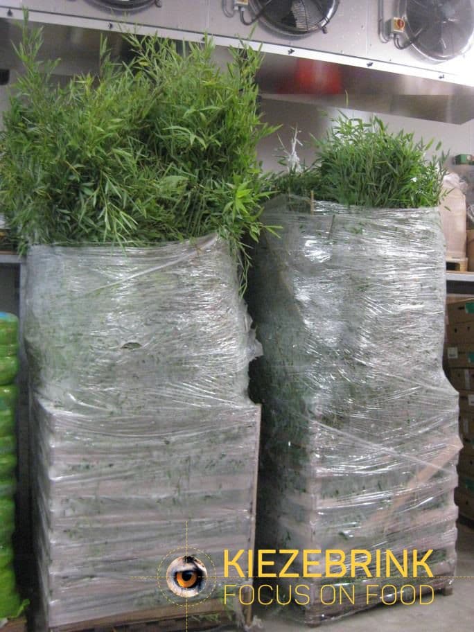 Bambus Gefrornen - ca. 250 kg