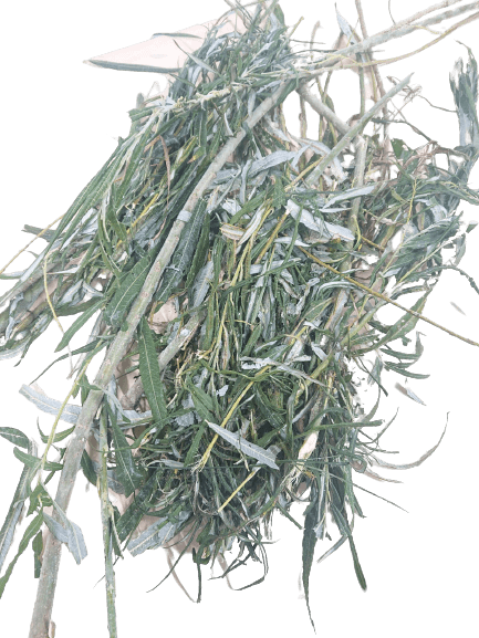 Weide Gefrornen - ca. 300 kg