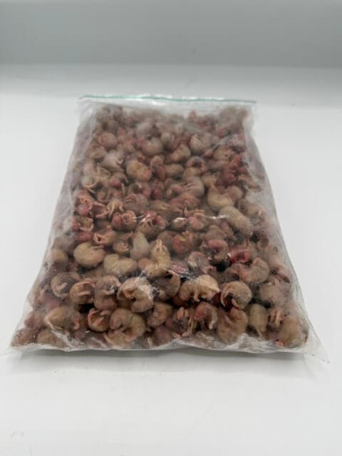 Mouse Pinks (1-4 g) B-quality