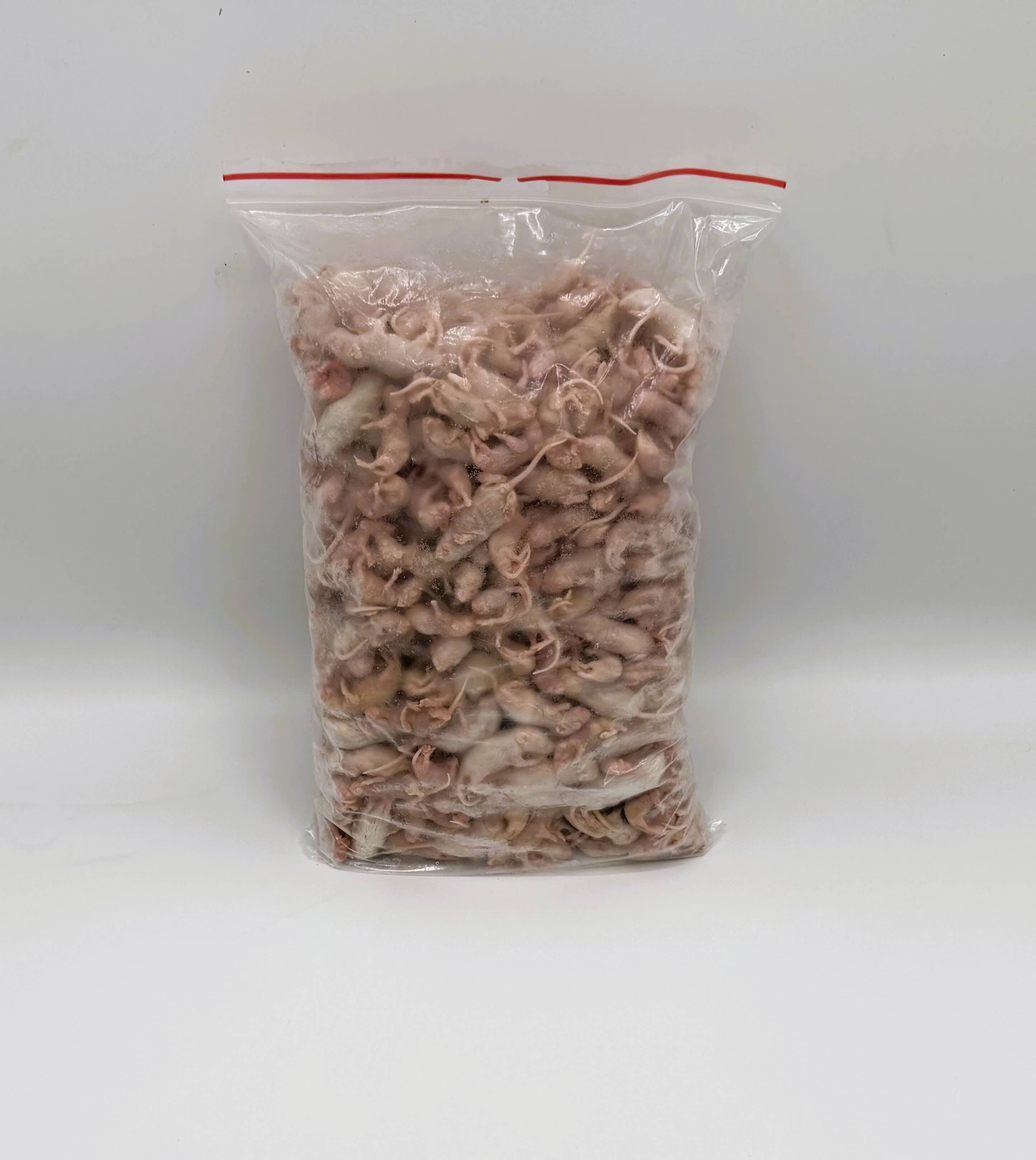 Mouse pinks 1-4 g