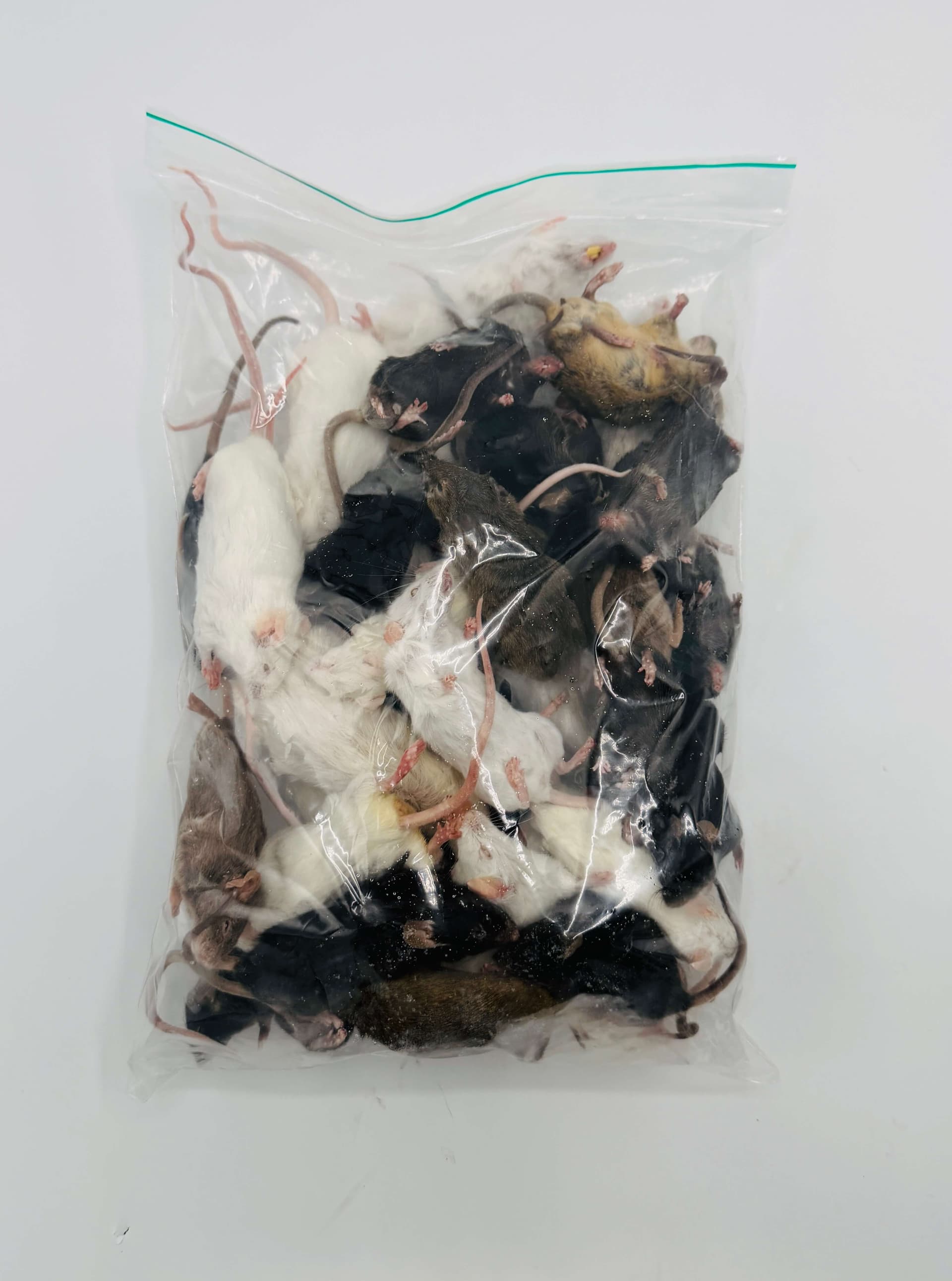 Mix Mice (6-40 g)