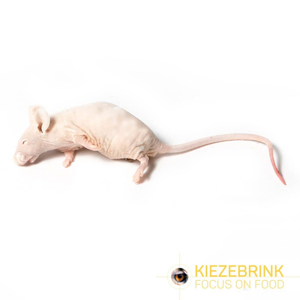 Nackten Maus (15-45 g)