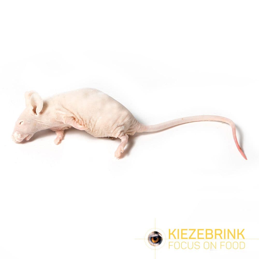 Nackten Maus (15-45 g)