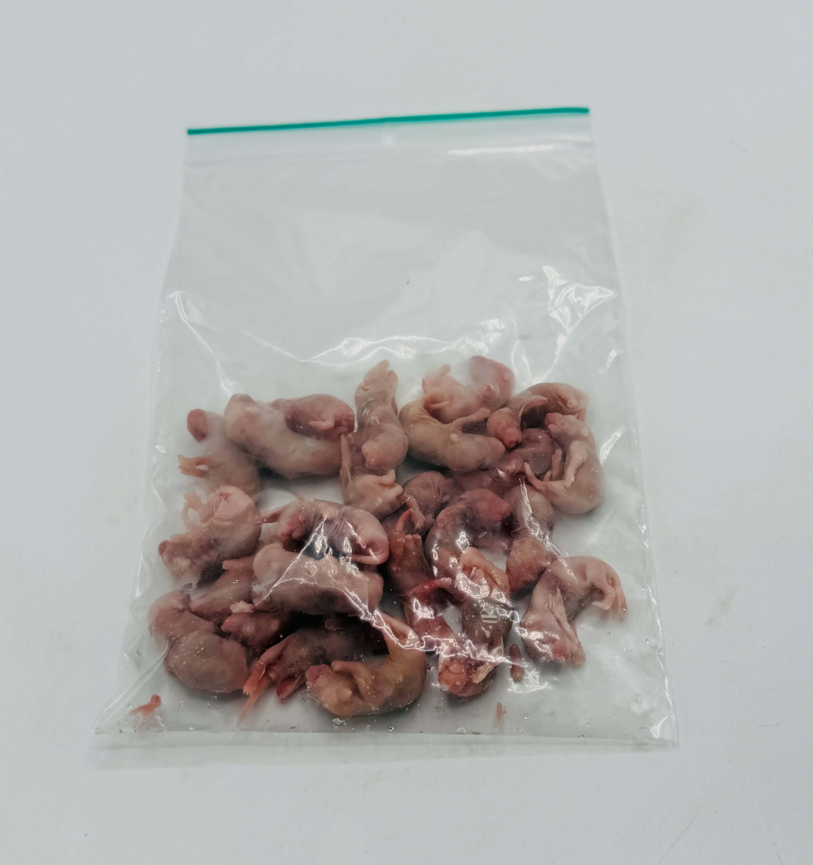Pinky Mice (1-2 g)