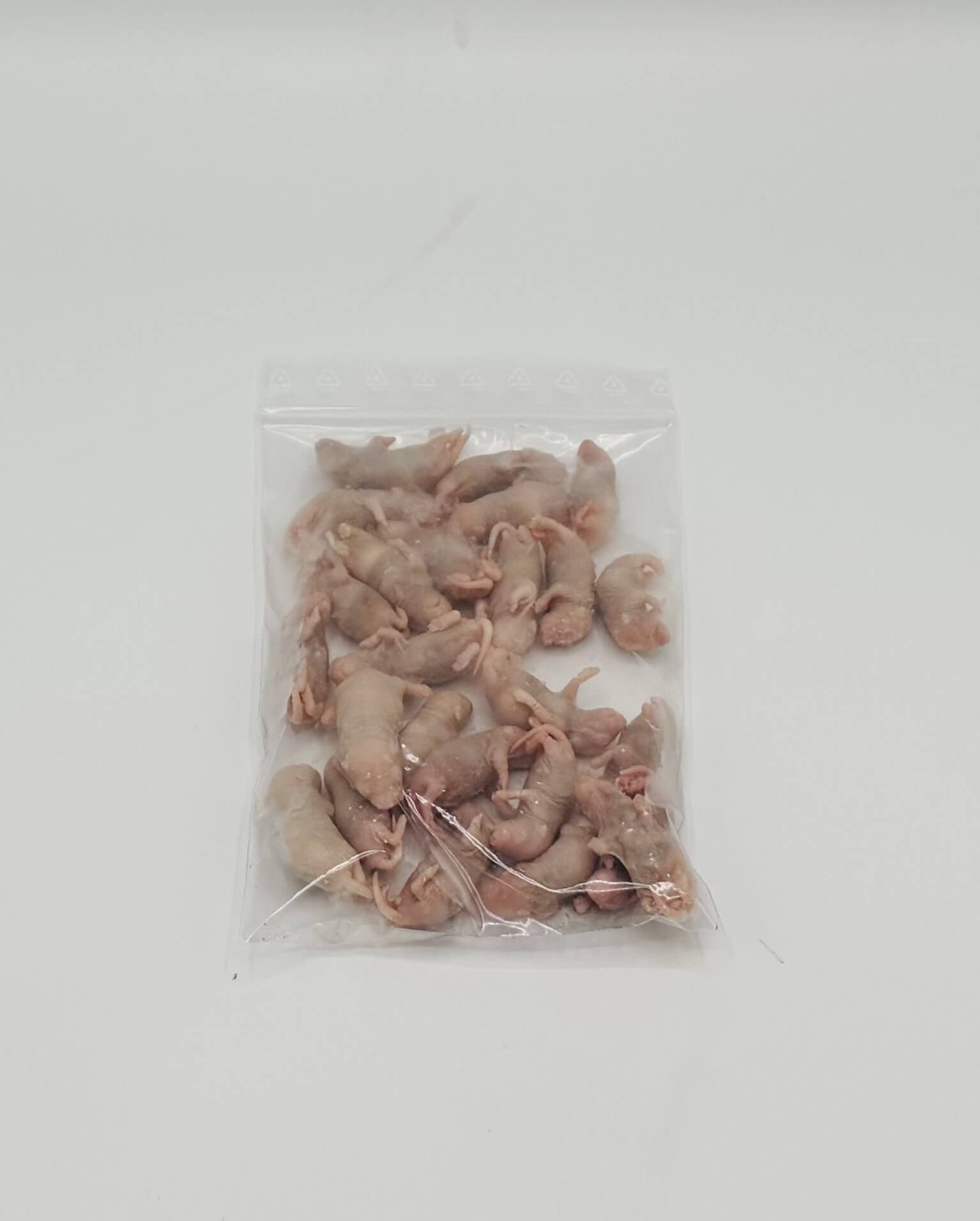 Babymäuse XXL (3-4 g)