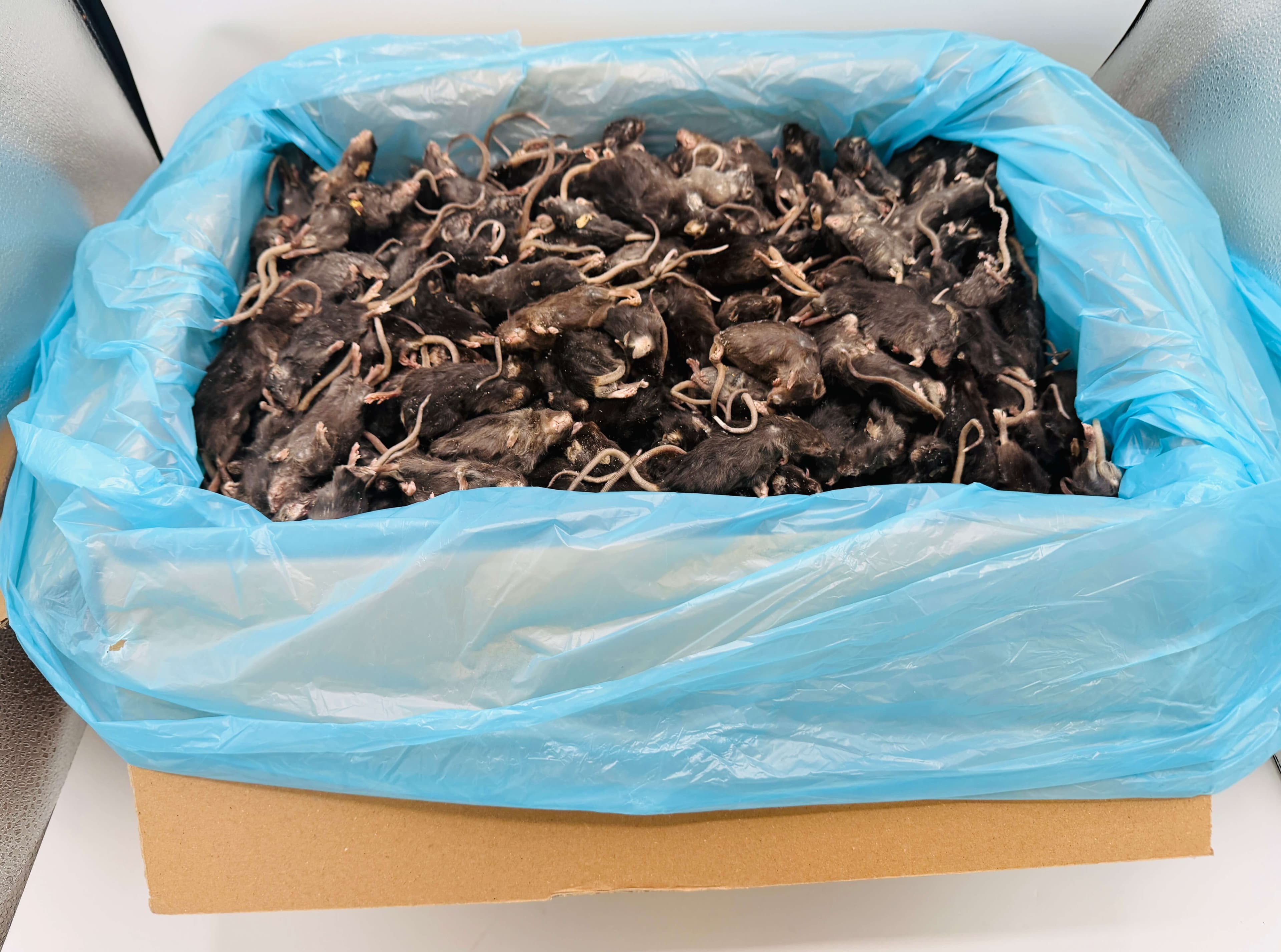 Mix Donkere Muis (±6-40 g)