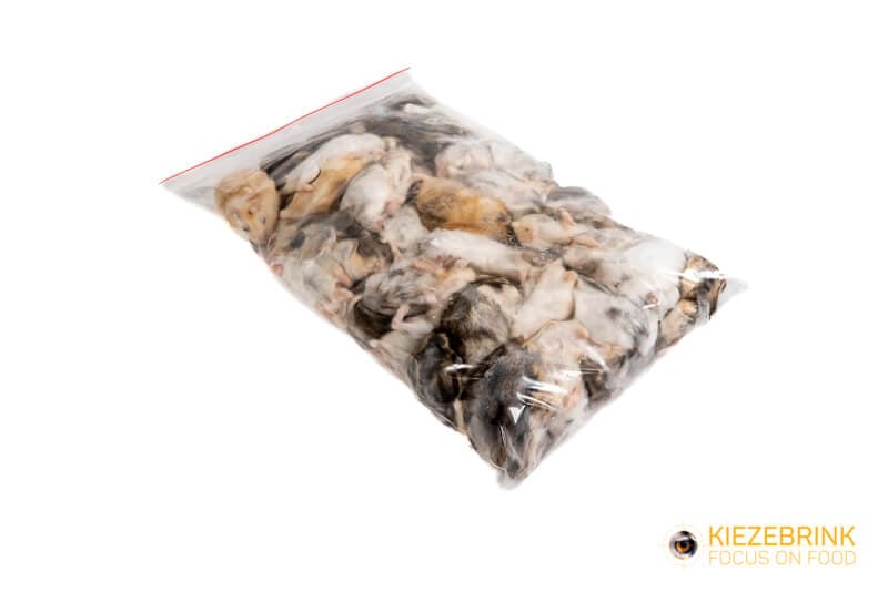 Dwerg hamster medium/adult