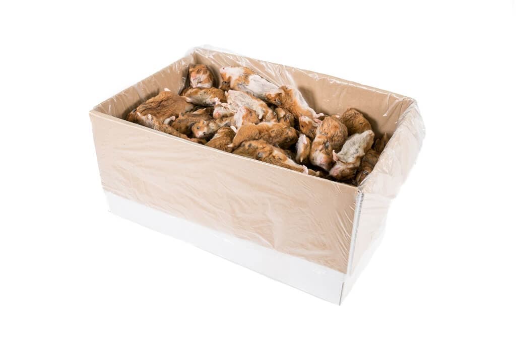 Syrische hamster mix 20-70 g