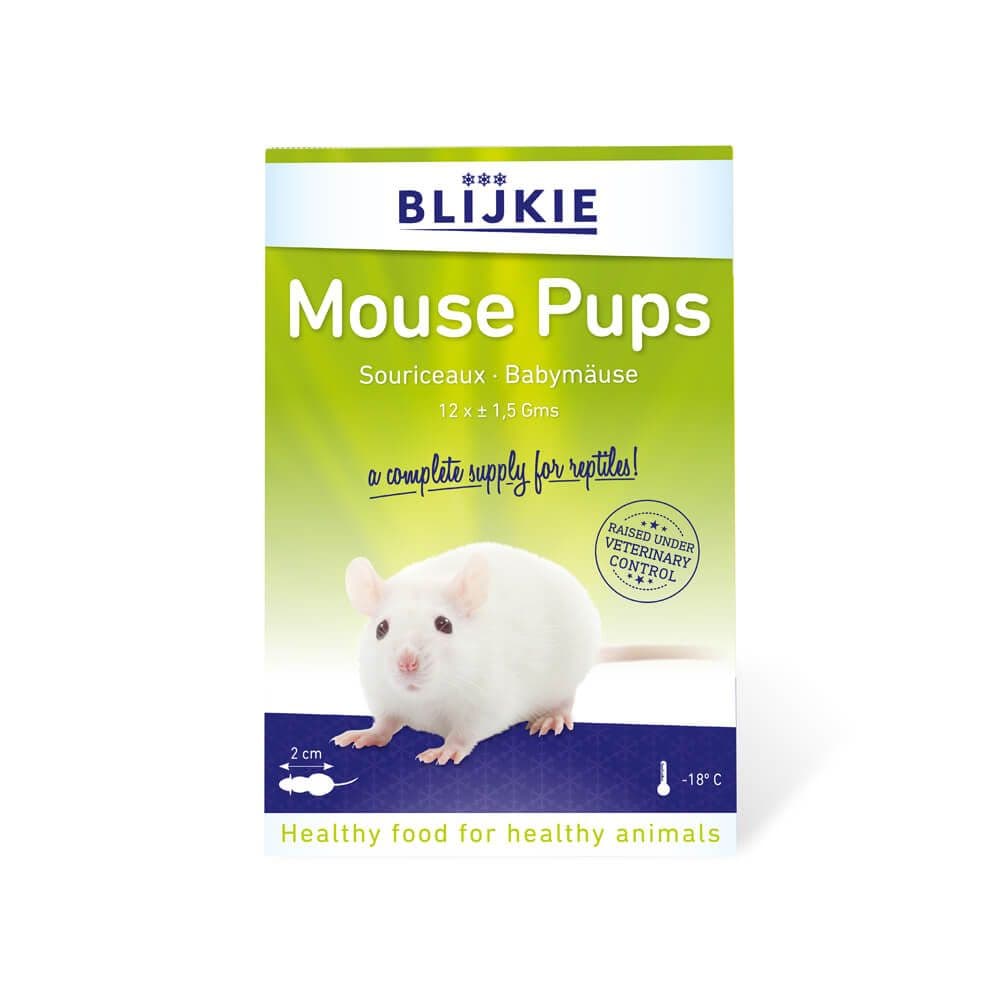 Blijkie Babymuis 6*10 blister