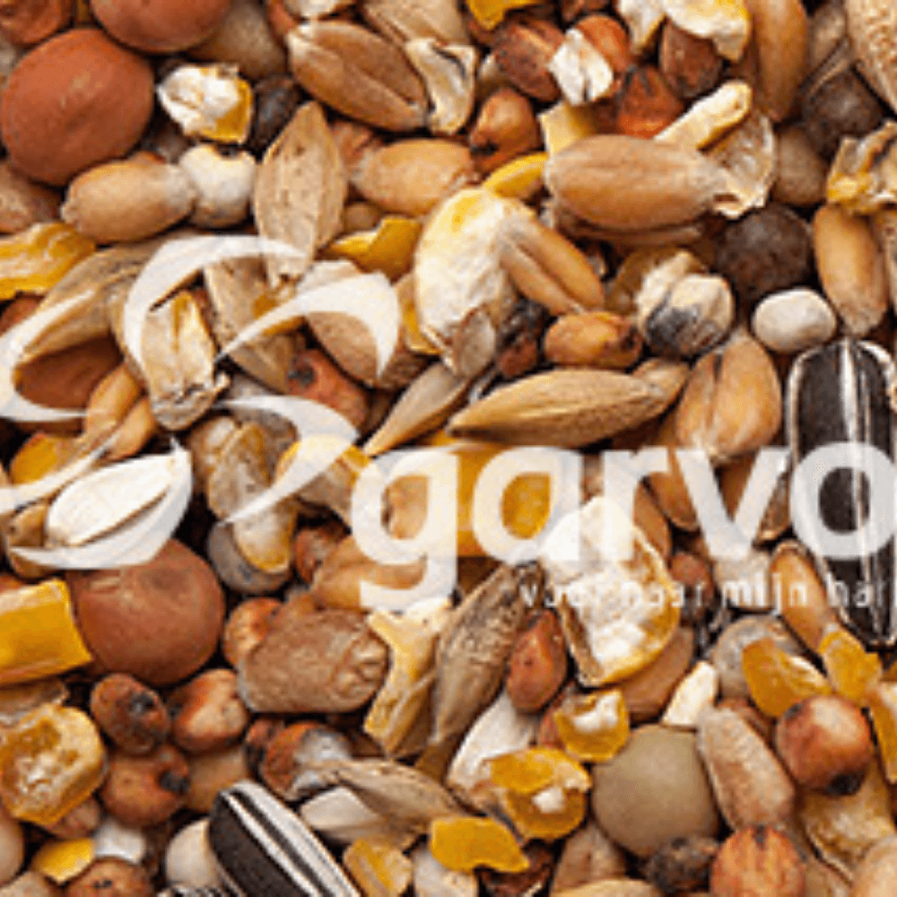 ga657-cdd9b21e649bf52d8e592ef00629f38c__02.png