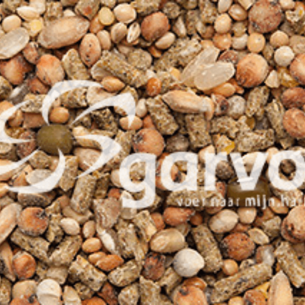 Ziervogelmix (Wachteln, usw)