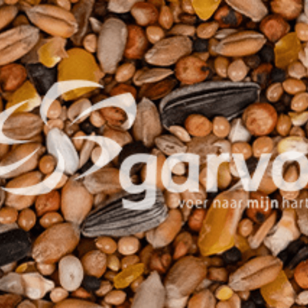 ga662-1ba0135a1fb1846536629847558bd85d__02.png