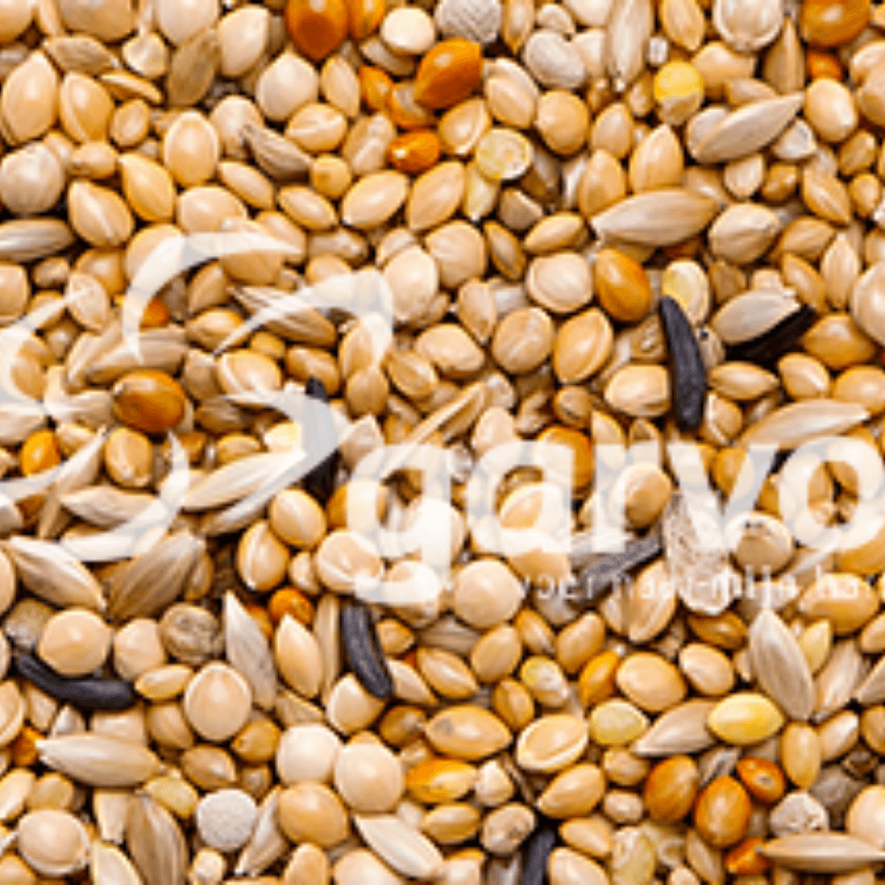 ga665-81138d634539eb84bb625a93f966b59e__02.png