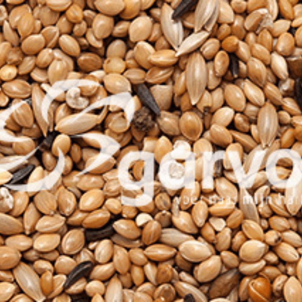 ga666-c371ace9ec408737b20cb77784ac8a97__02.png