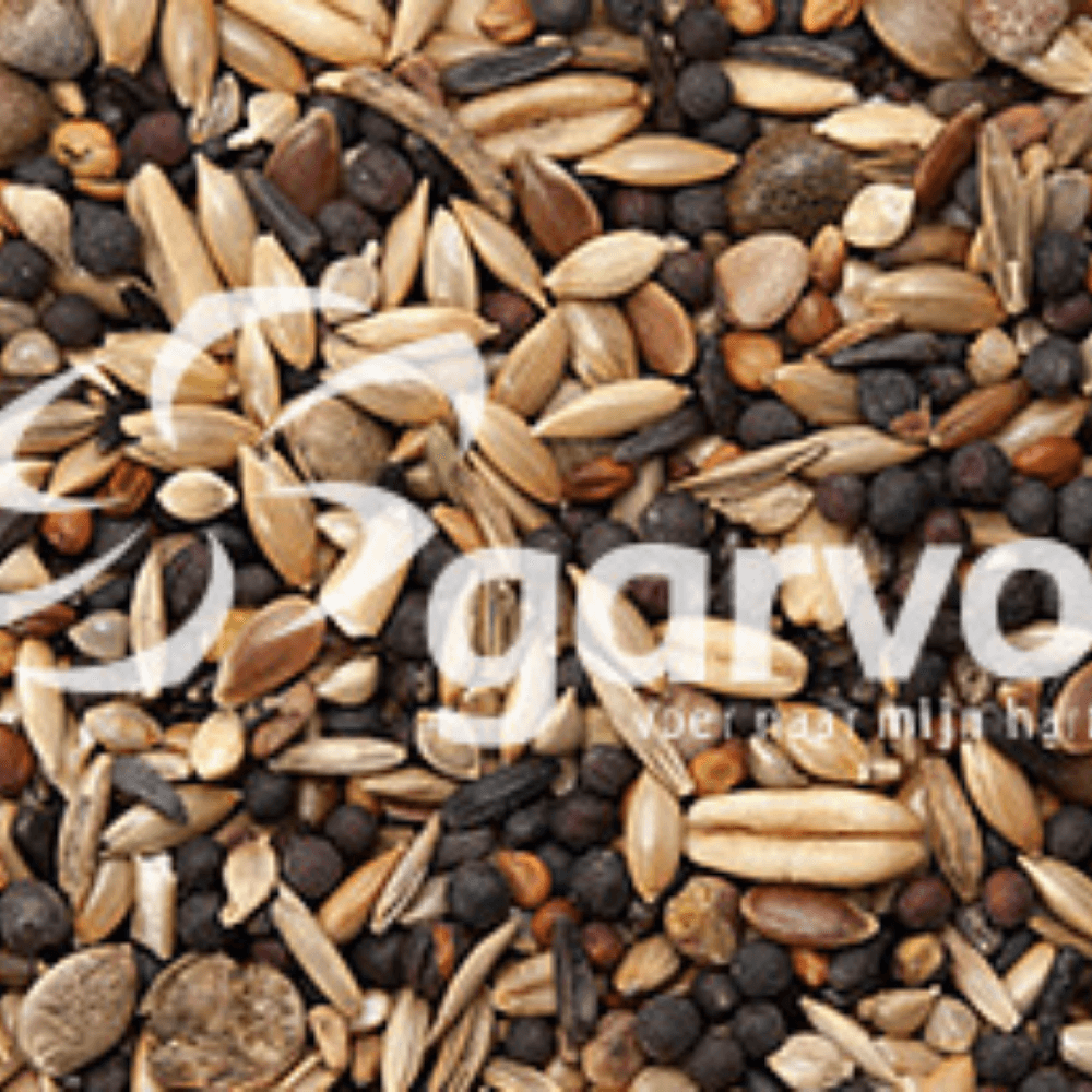 ga678-55e7006551fd18717133bd957eb87ca0__02.png