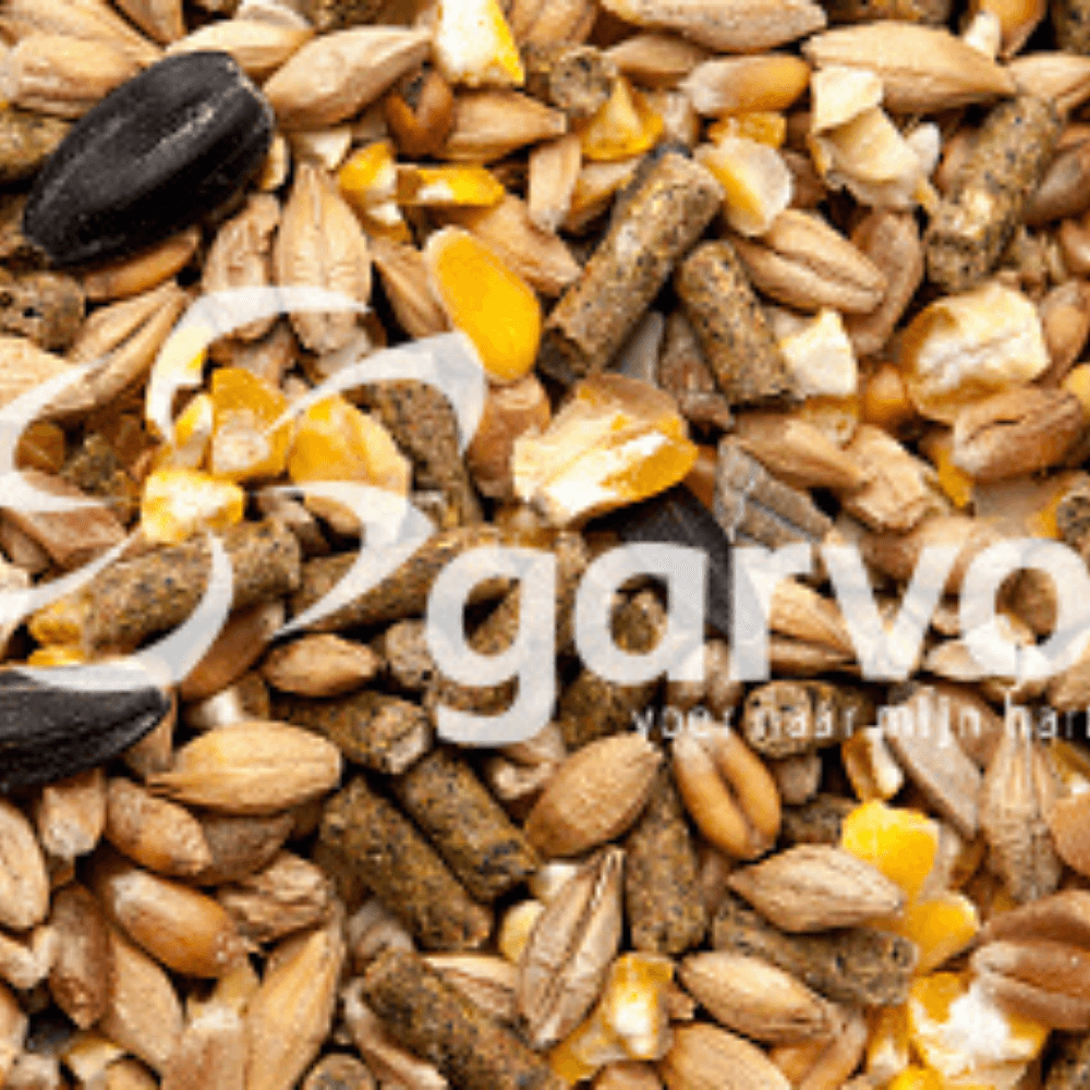 ga685-4201d419b94b4cd6ba5a73271da3b9b7__02.png