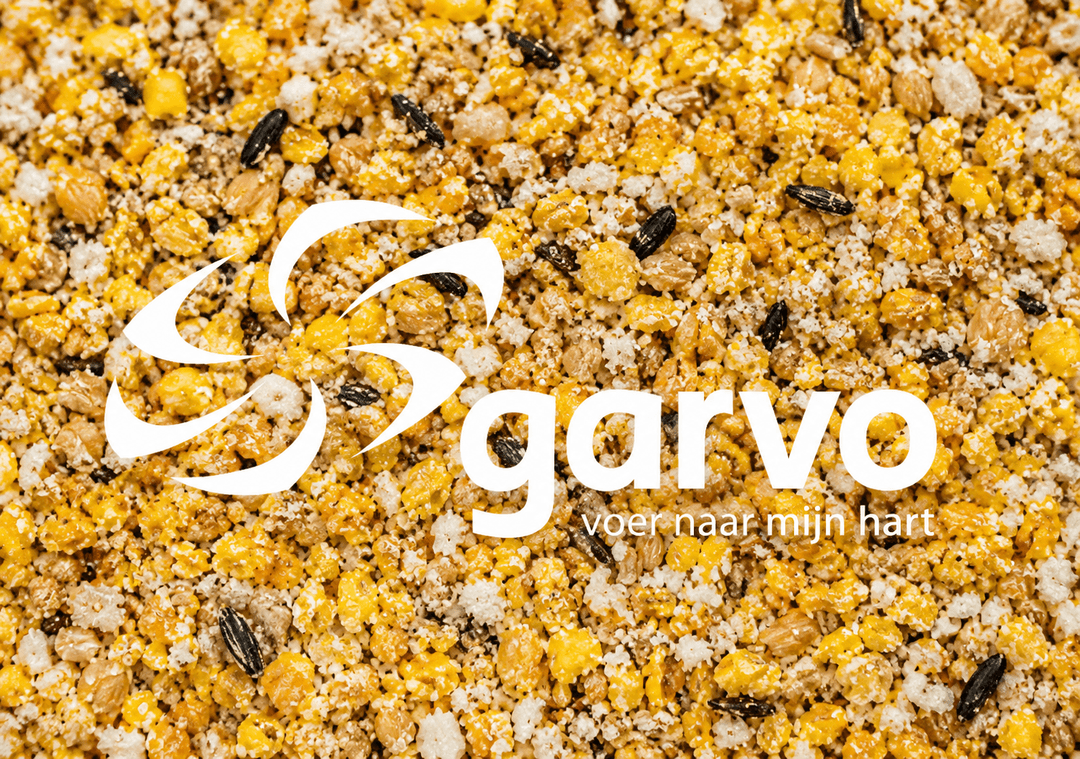 Garvo Solution Eifutter (fettig)