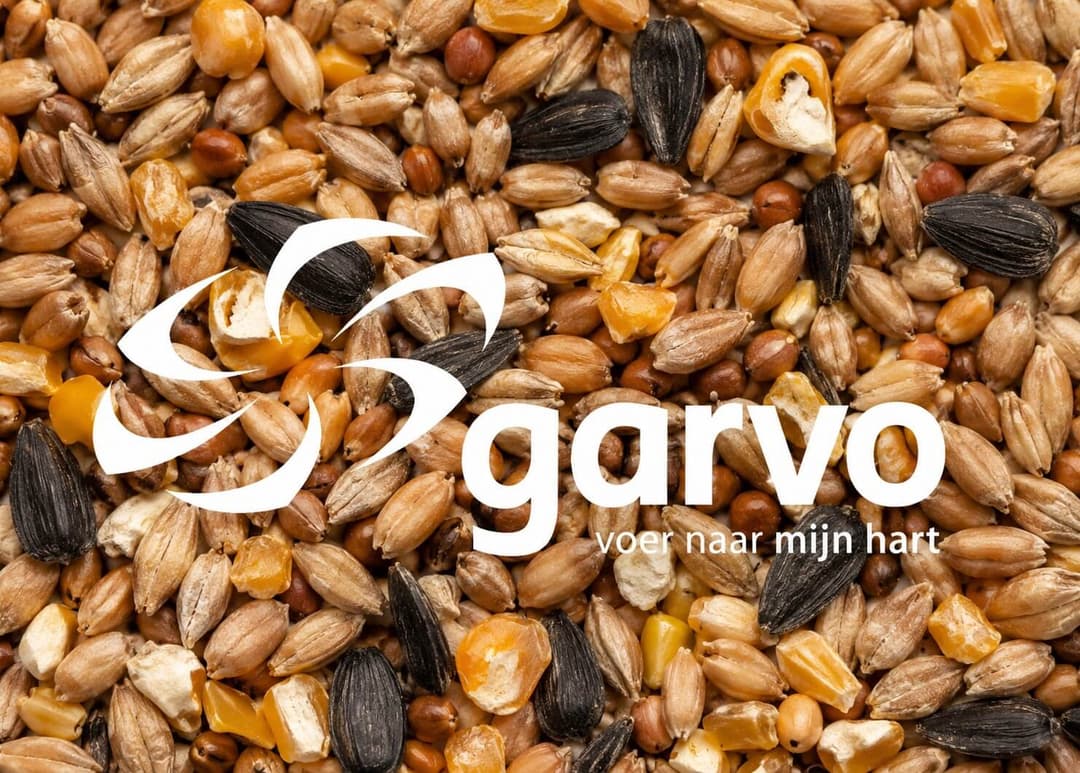 Mixed Corn With Seashells | 4140