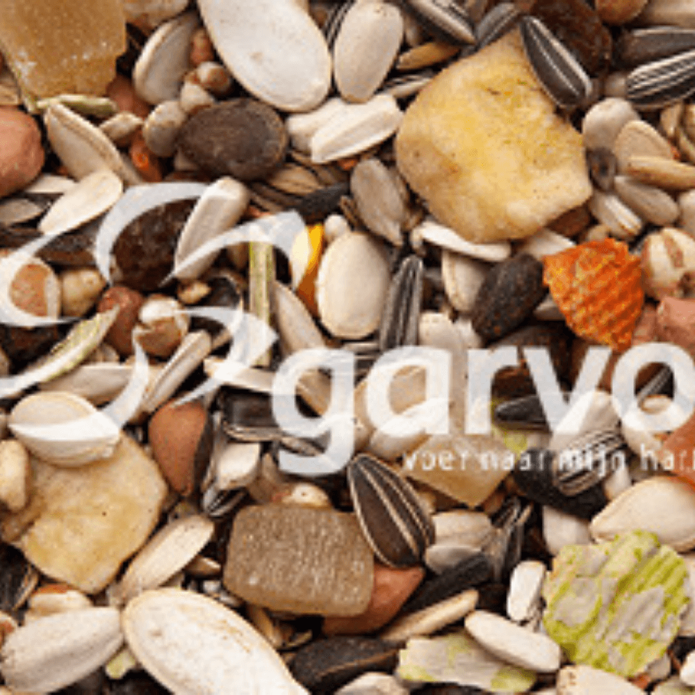 Papegeien Obst & Nüsse