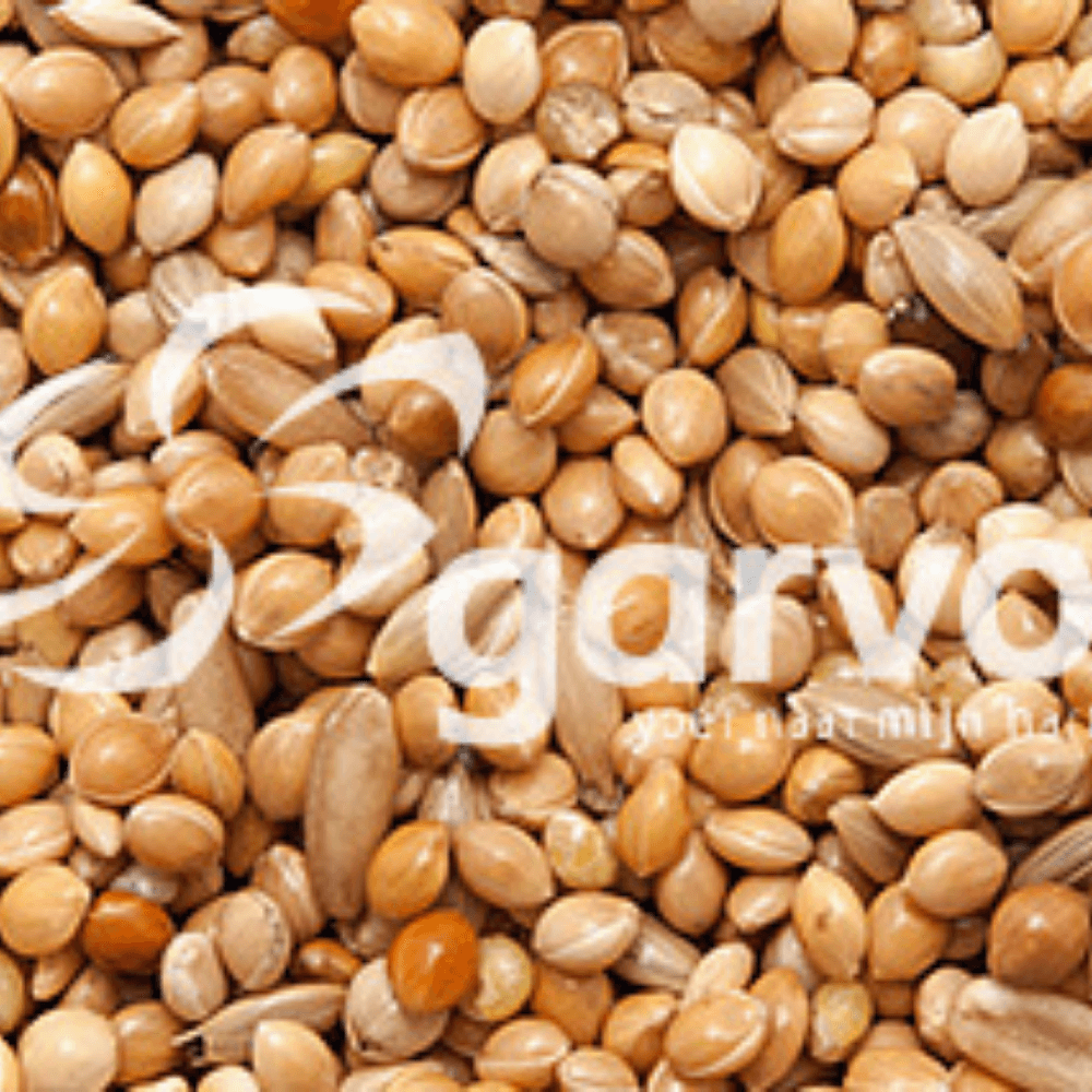ga728-5195d61f3263b5aa3538309d0902374f__02.png