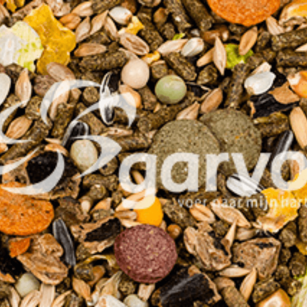 Kaninchen Mischfutter (mit Möhren)