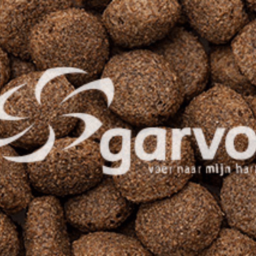 Rangers CR Hundebrocken