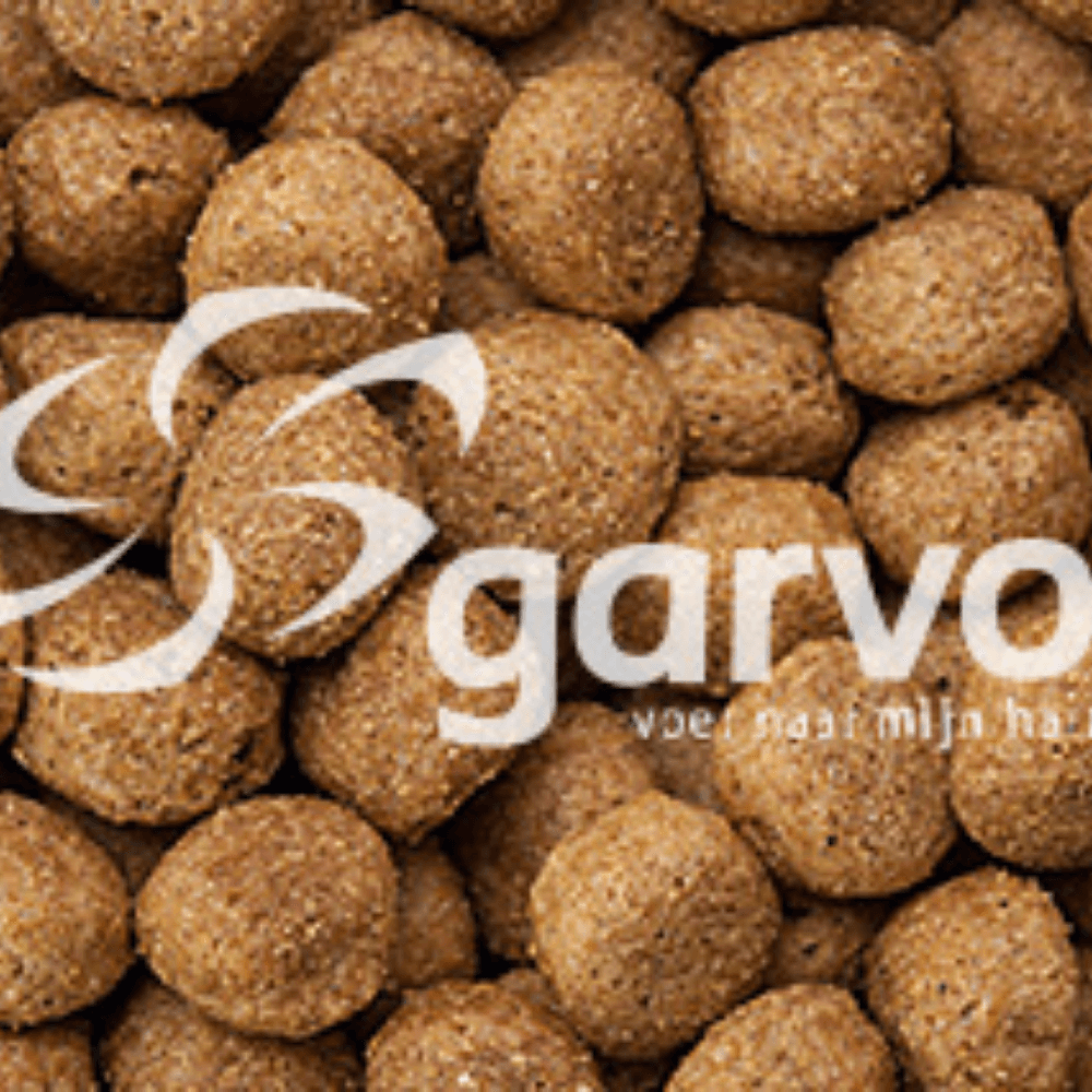 Rangers CR Hundebrocken Senior