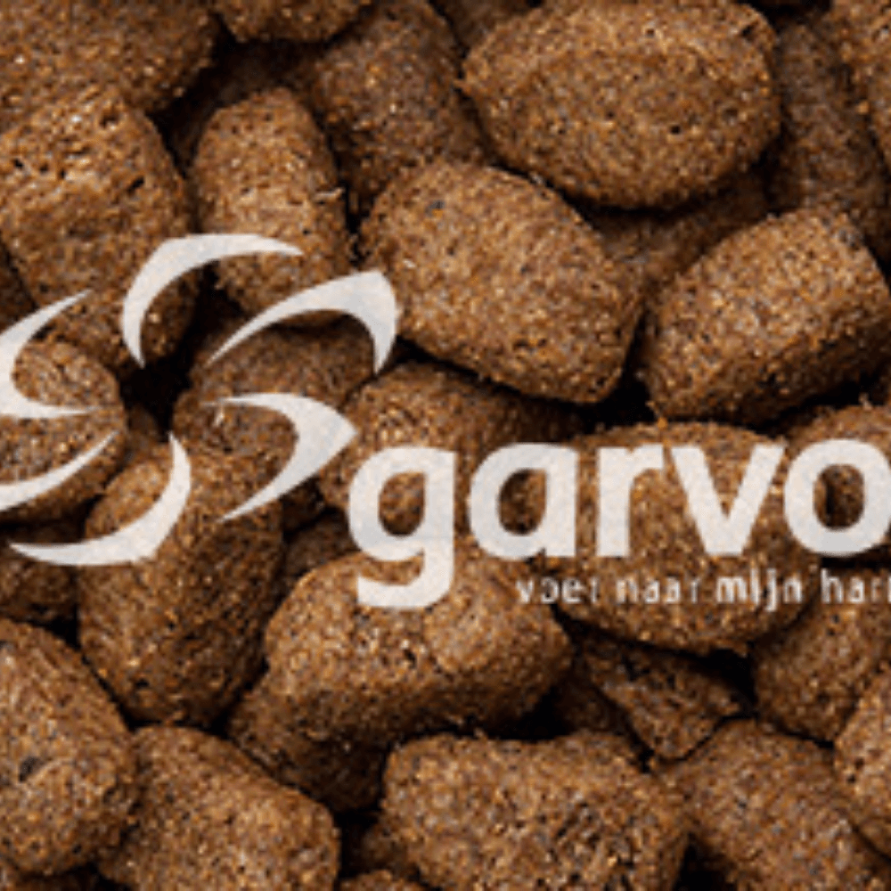 Rangers CR Hundebrocken Fleisch und Reis