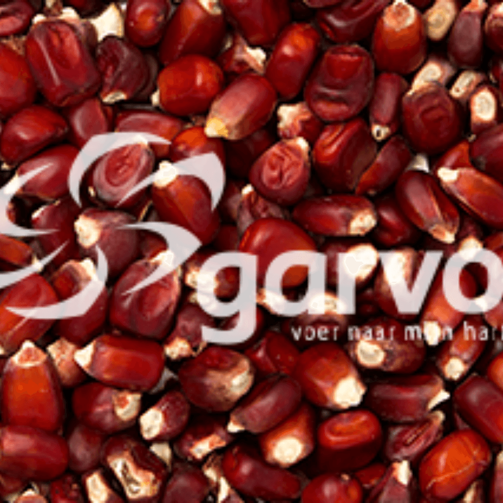 Rotmais (falls verfügbar)