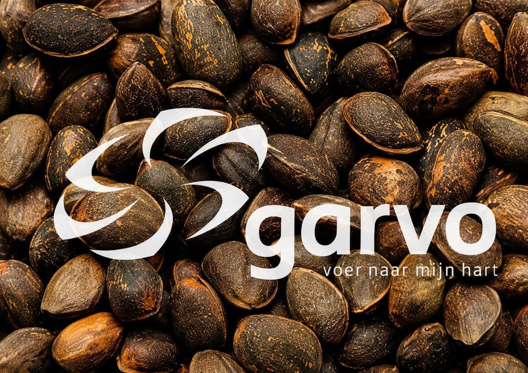 Cedarnuts | 5250
