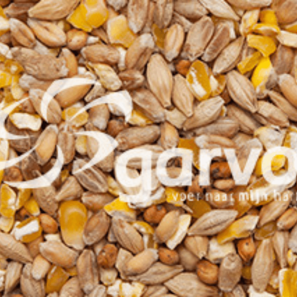 Körnermischfutter mit Maisgrütze