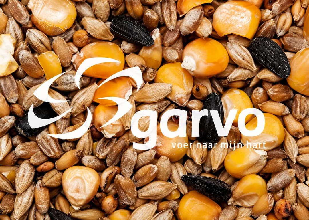 Gemengd graan met zonnepit