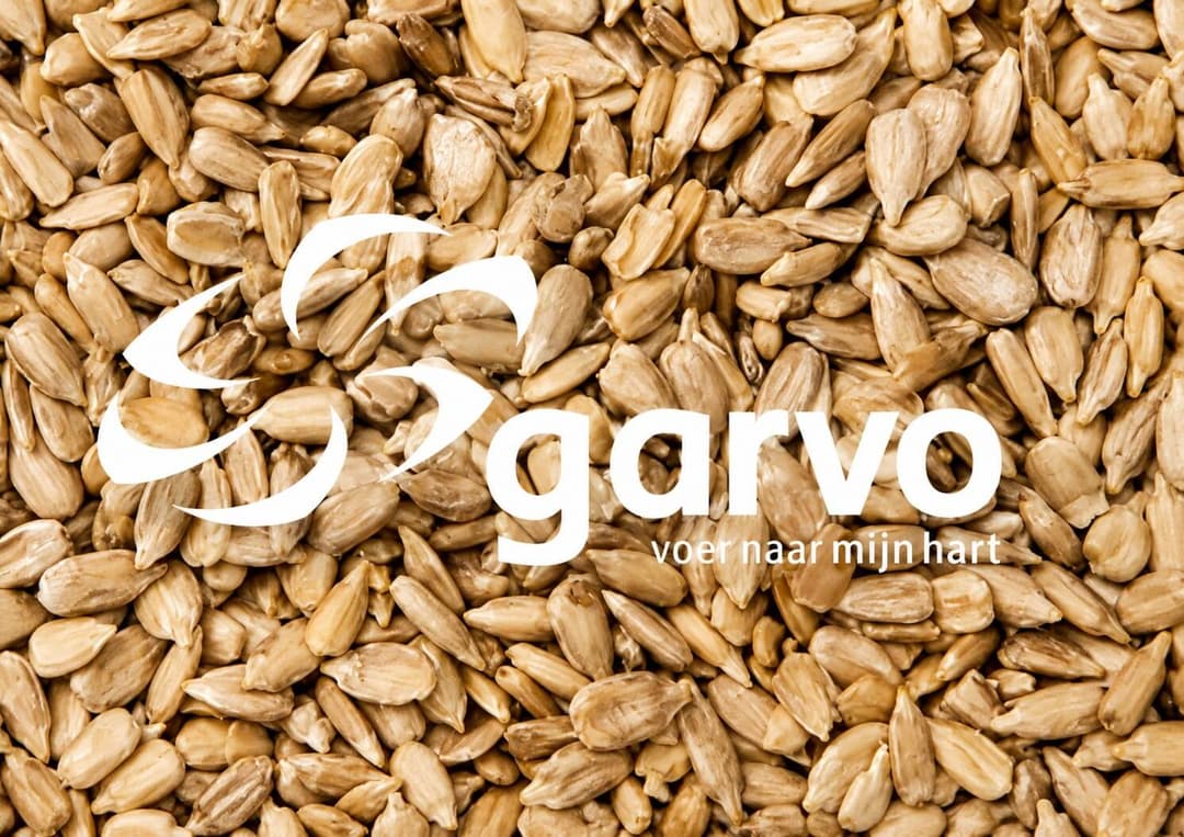 Sunflowerseed Peeled | 5246