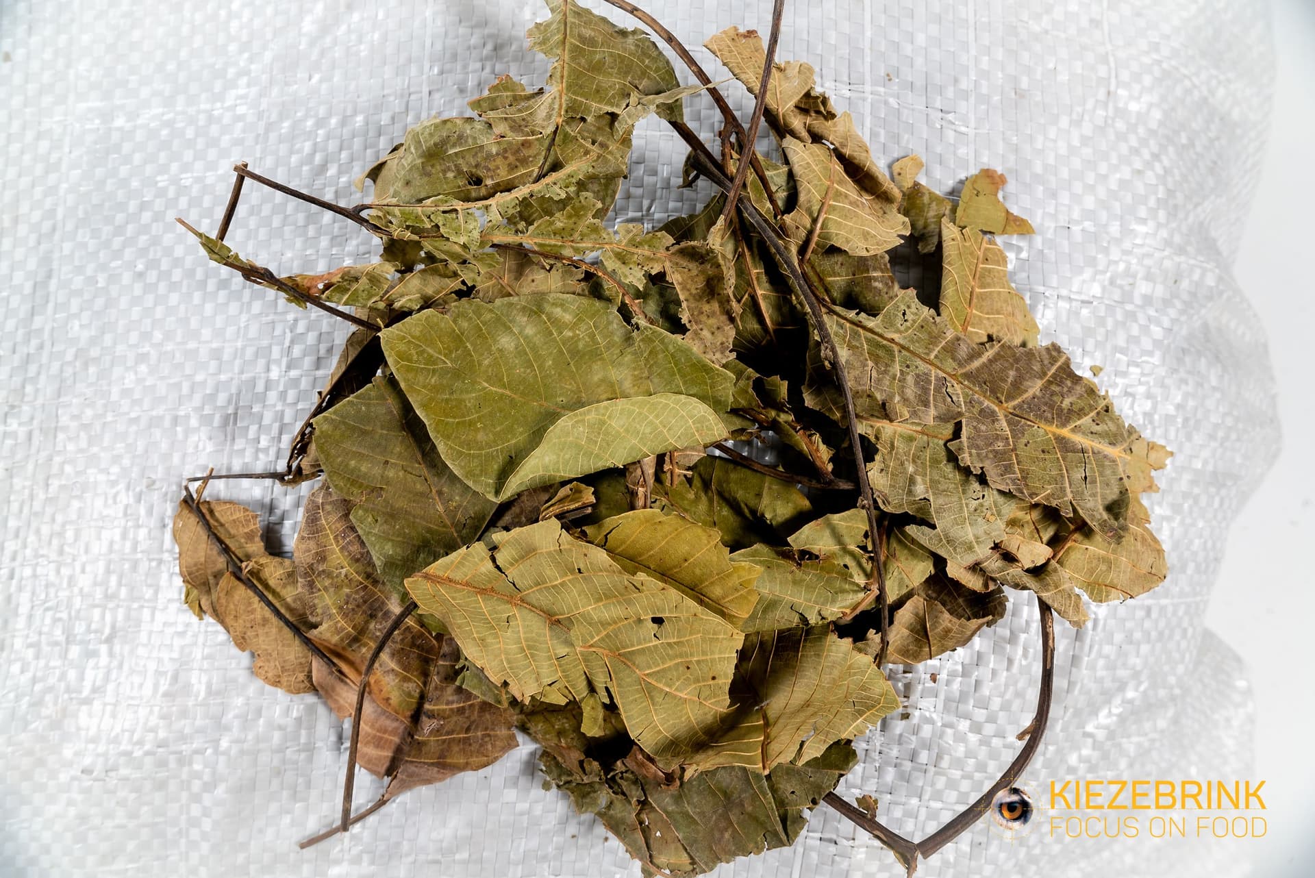 Walnussblätter - 10-20 kg Sack