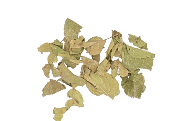 Apfelblatt - 12 kg Sack