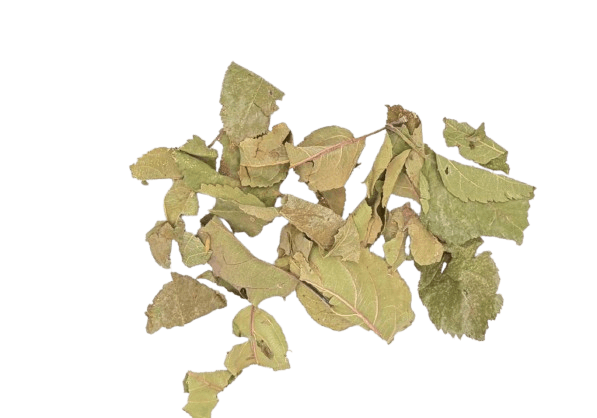 Apfelblatt - 12 kg Sack